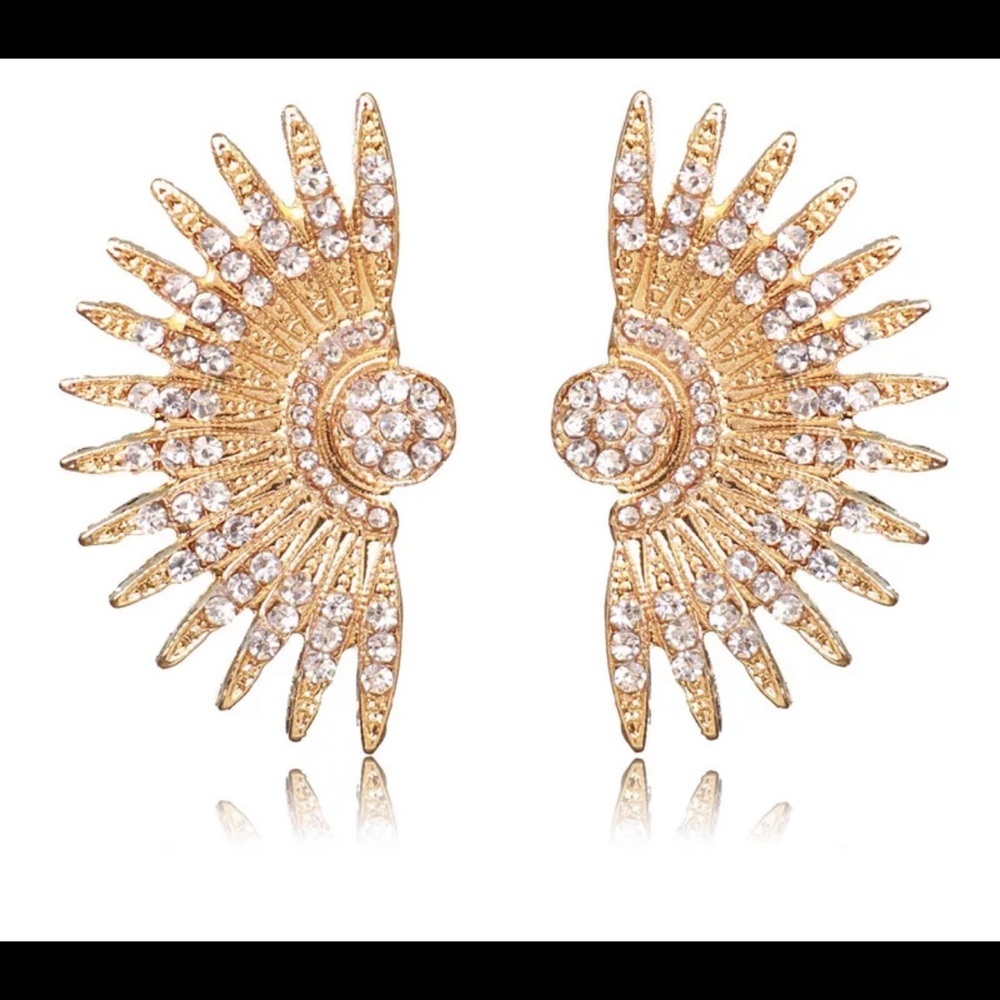 🔥Brand new fashion jewelry earrings